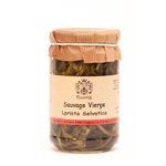 Sauvage Vierge Fontana