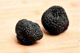 Truffes Melanosporum