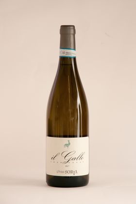 Chardonnay Il Gallo