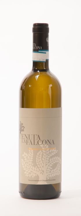 Vin blanc Custoza Falcona